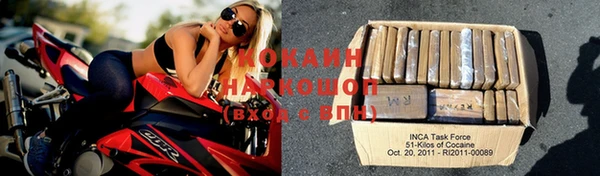 прущие грибы Бронницы