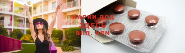прущие грибы Бронницы