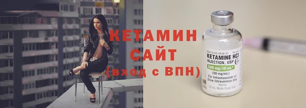 прущие грибы Бронницы