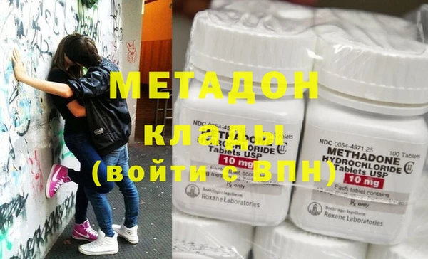 прущие грибы Бронницы