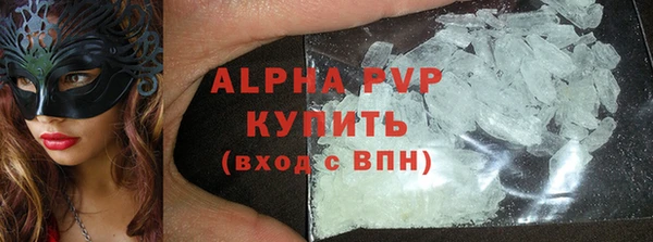 прущие грибы Бронницы
